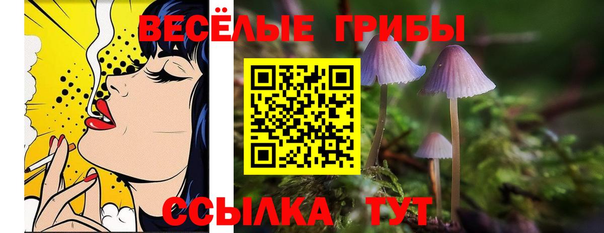 Зерноград  Псилоцибиновые грибы Psilocybe  хочу наркоту  Вход с VPN 
