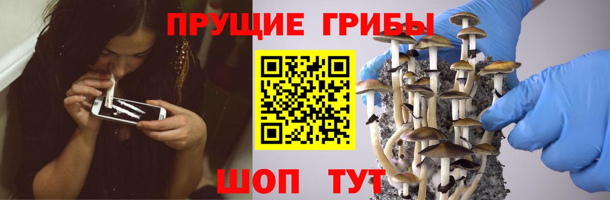 Галлюциногенные грибы прущие грибы Зерноград